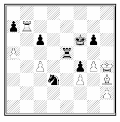 teuschler-gerstl teuschler-gerstl