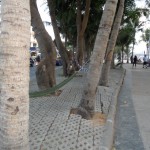 20_noch_guenstigeres_quartier 20_noch_guenstigeres_quartier